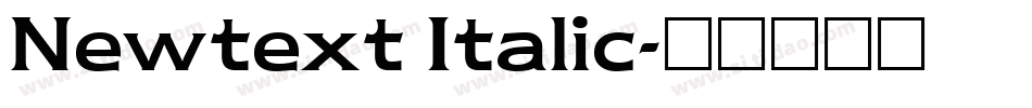 Newtext Italic字体转换